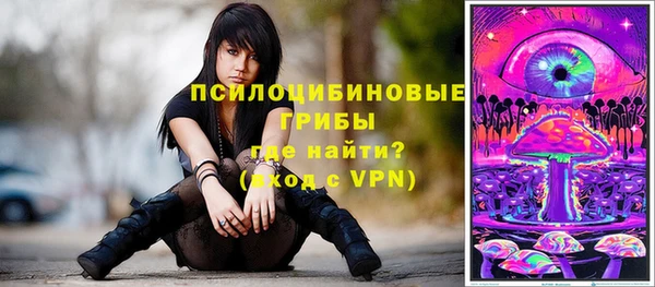ГАЛЛЮЦИНОГЕННЫЕ ГРИБЫ Пересвет