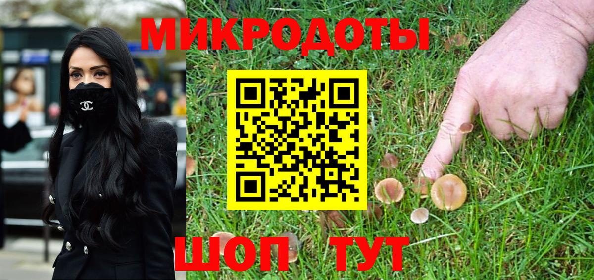 Галлюциногенные грибы Psilocybe Астрахань