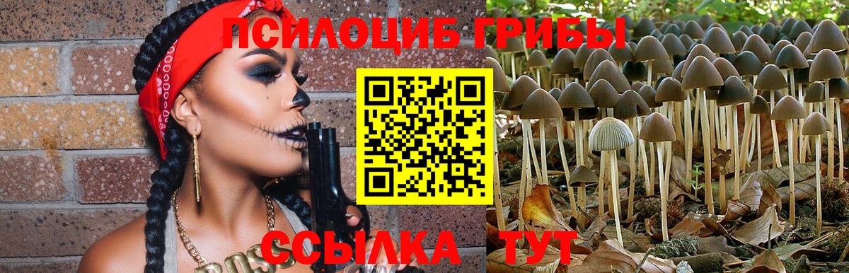 продажа наркотиков  Псилоцибиновые грибы Psilocybine cubensis  Вход с VPN  Астрахань 