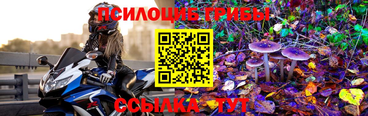 Галлюциногенные грибы GOLDEN TEACHER Астрахань